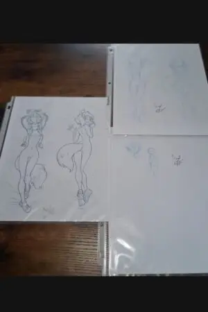 ad daki202606mich ogart23
